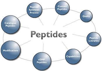 Peptides Peptides