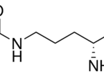 D-Citrulline CAS 13594-51-9