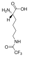 H-Lys(Tfa)-OH CAS 10009-20-8 H-Lys(Tfa)-OH CAS 10009-20-8