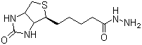 BIOTIN-Hydrazide CAS 66640-86-6