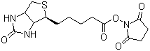 BIOTIN-NHS CAS 35013-72-0 BIOTIN-NHS CAS 35013-72-0