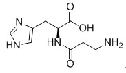 Structure of L-Carnosine CAS 305-84-0
