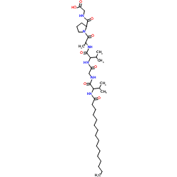 Lipopeptide Acetate CAS 171263-26-6 Lipopeptide Acetate CAS 171263-26-6