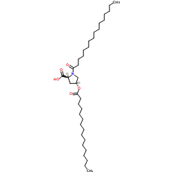 Dipalmitoyl hydroxyproline CAS 41672-81-5