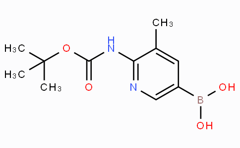 2-tert-Butyloxycarbonylamino-3-methylpyridine-5-boronicacid CAS 1356087-58-5 2-tert-Butyloxycarbonylamino-3-methylpyridine-5-boronicacid CAS 1356087-58-5