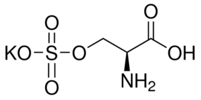 Structure of L-Serine O-sulfate potassium salt CAS 17436-02-1