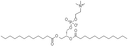 L-alpha-Dilauroylglyceryl-3-phosphorylcholine CAS 18194-25-7 L-alpha-Dilauroylglyceryl-3-phosphorylcholine CAS 18194-25-7