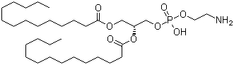 Dimyristoyl phosphoethanolamine CAS 998-07-2 Dimyristoyl phosphoethanolamine CAS 998-07-2