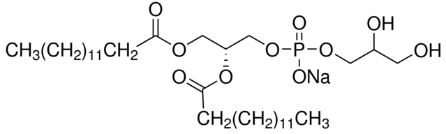 1,2-Dimyristoyl-sn-glycero-3-phospho-(1′-rac-glycerol) sodium salt CAS 200880-40-6 1,2-Dimyristoyl-sn-glycero-3-phospho-(1′-rac-glycerol) sodium salt CAS 200880-40-6