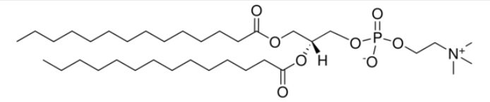 Dimyristoyl phosphatidylcholine CAS 18194-24-6 Dimyristoyl phosphatidylcholine CAS 18194-24-6